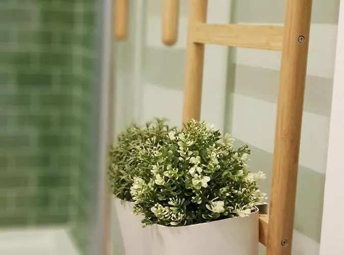 Minty Fresh * Lisboa